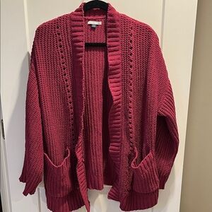 American Eagle Outfitters Burgundy Cardigan Sweater